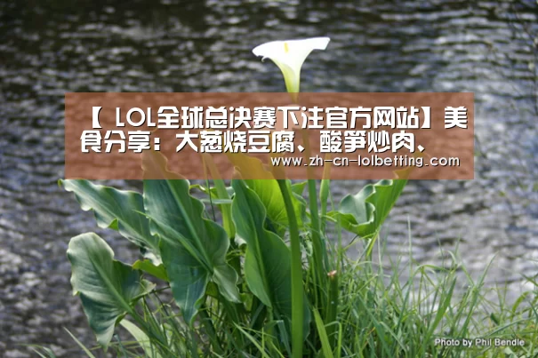 【 LOL全球总决赛下注官方网站】美食分享:大葱烧豆腐、酸笋炒肉、海带排骨汤的简单做法(图3) LOL全球总决赛下注官方网站