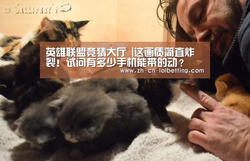 英雄联盟竞猜大厅 |这画质简直炸裂!试问有多少手机能带的动?